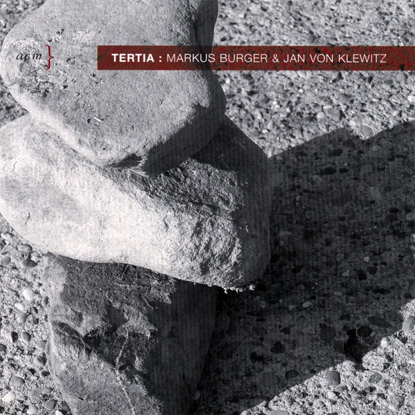 Spiritual Standards Tertia album cover